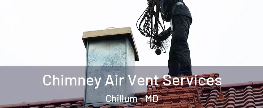  Chimney Air Vent Services Chillum - MD