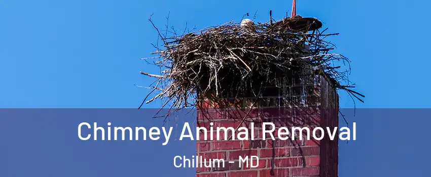 Chimney Animal Removal Chillum - MD