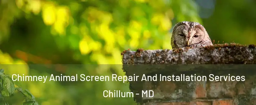  Chimney Animal Screen Repair And Installation Services Chillum - MD
