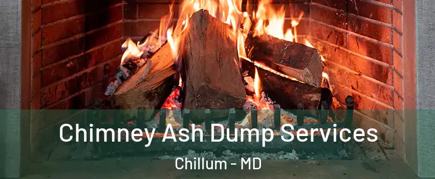  Chimney Ash Dump Services Chillum - MD