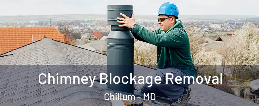  Chimney Blockage Removal Chillum - MD