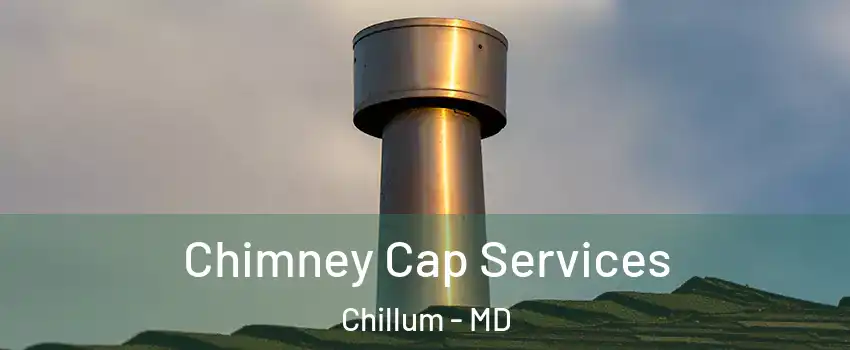  Chimney Cap Services Chillum - MD