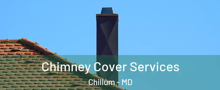  Chimney Cover Services Chillum - MD