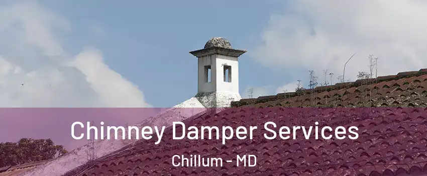  Chimney Damper Services Chillum - MD