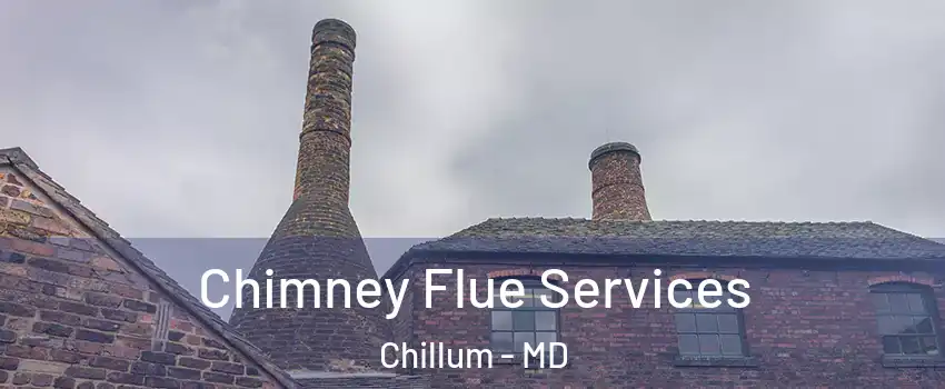  Chimney Flue Services Chillum - MD