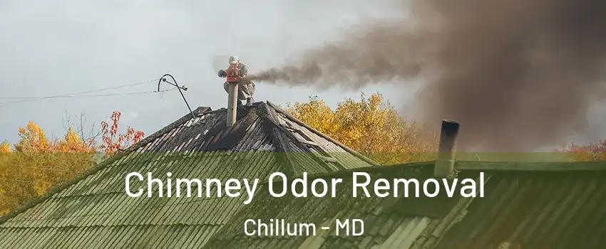  Chimney Odor Removal Chillum - MD