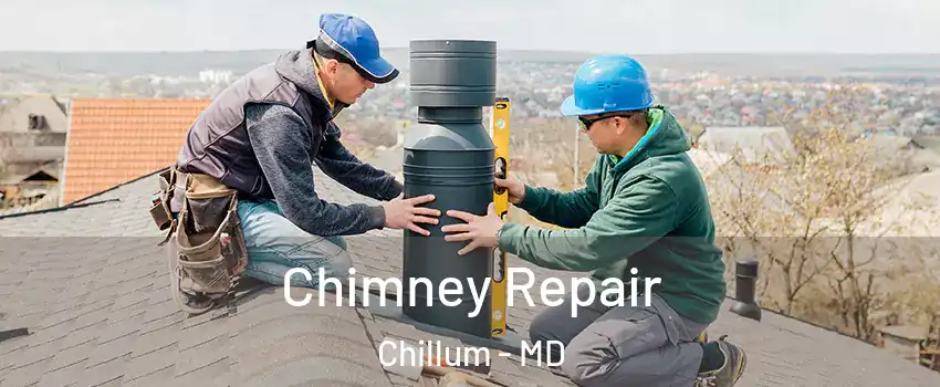  Chimney Repair Chillum - MD