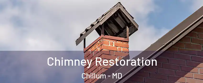  Chimney Restoration Chillum - MD