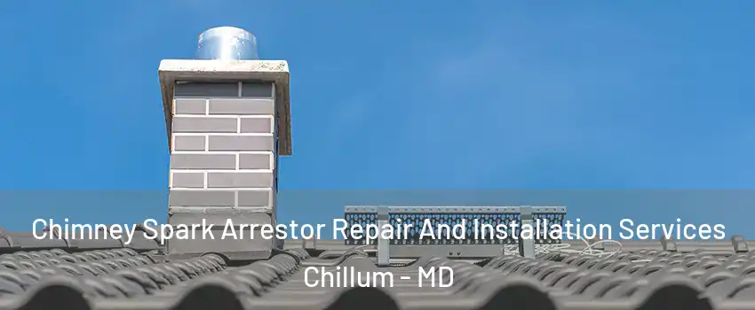  Chimney Spark Arrestor Repair And Installation Services Chillum - MD