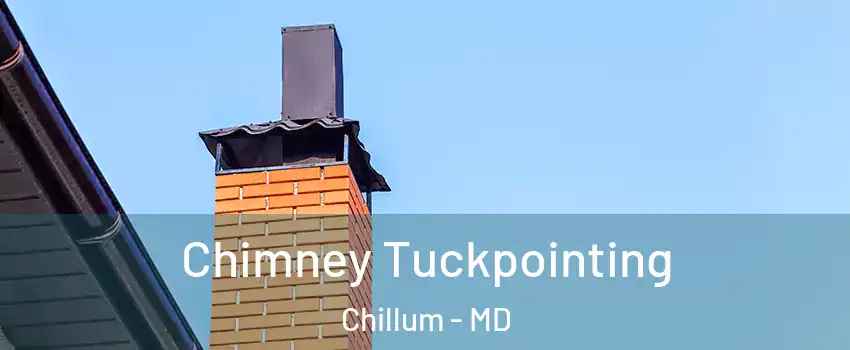  Chimney Tuckpointing Chillum - MD