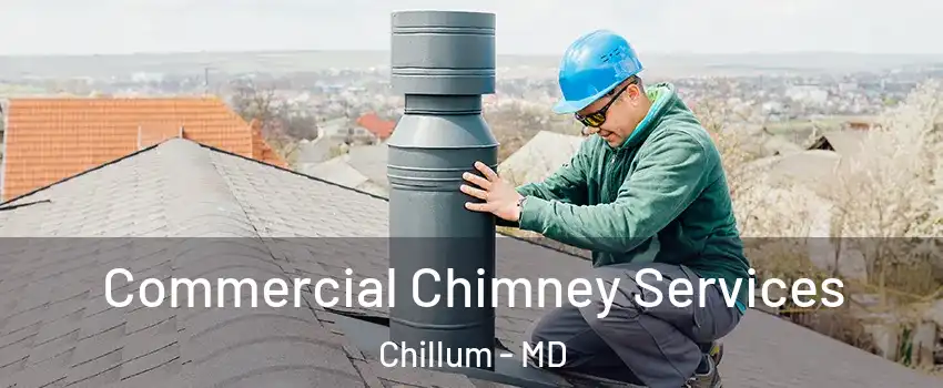  Commercial Chimney Services Chillum - MD