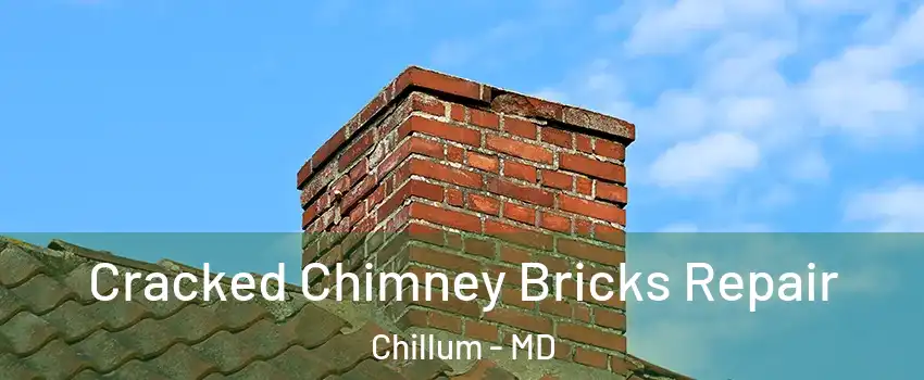  Cracked Chimney Bricks Repair Chillum - MD