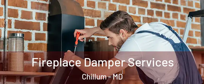  Fireplace Damper Services Chillum - MD