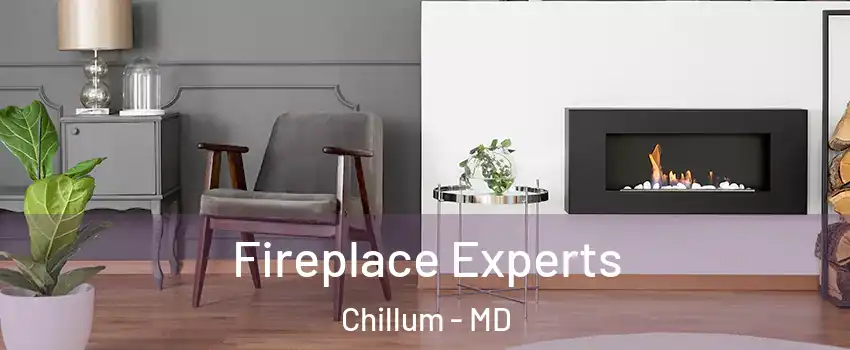  Fireplace Experts Chillum - MD