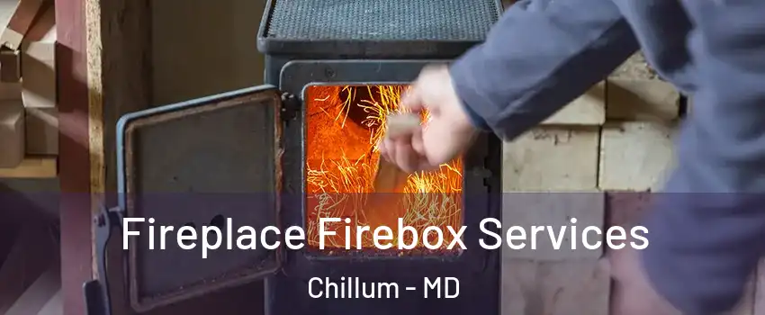  Fireplace Firebox Services Chillum - MD