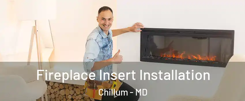 Fireplace Insert Installation Chillum - MD