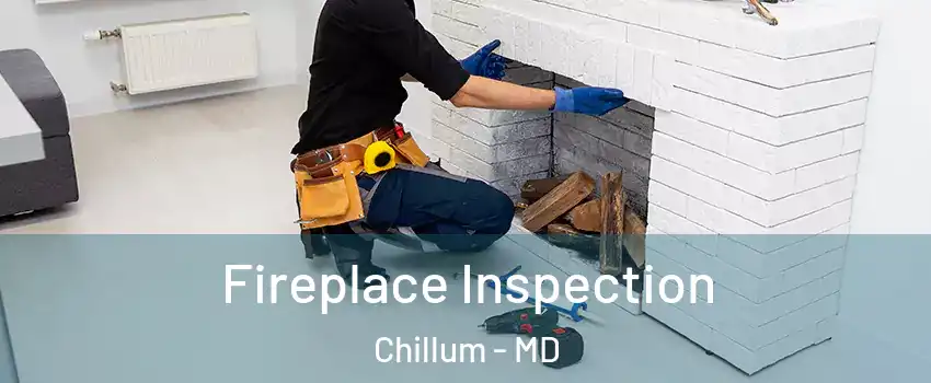  Fireplace Inspection Chillum - MD