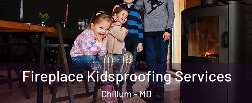  Fireplace Kidsproofing Services Chillum - MD