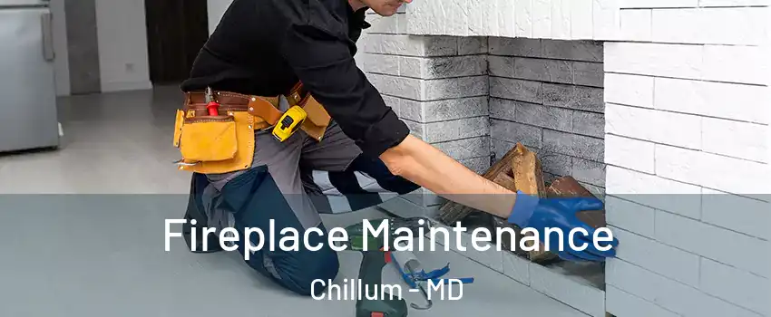  Fireplace Maintenance Chillum - MD