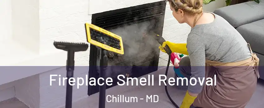  Fireplace Smell Removal Chillum - MD