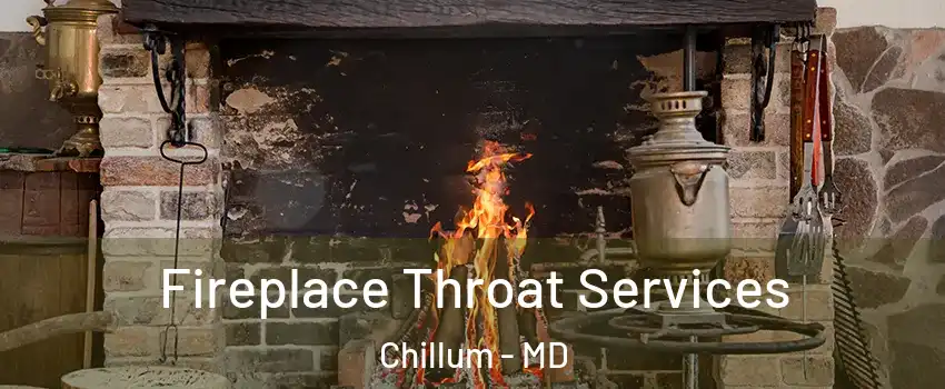  Fireplace Throat Services Chillum - MD