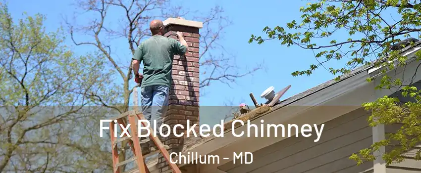  Fix Blocked Chimney Chillum - MD