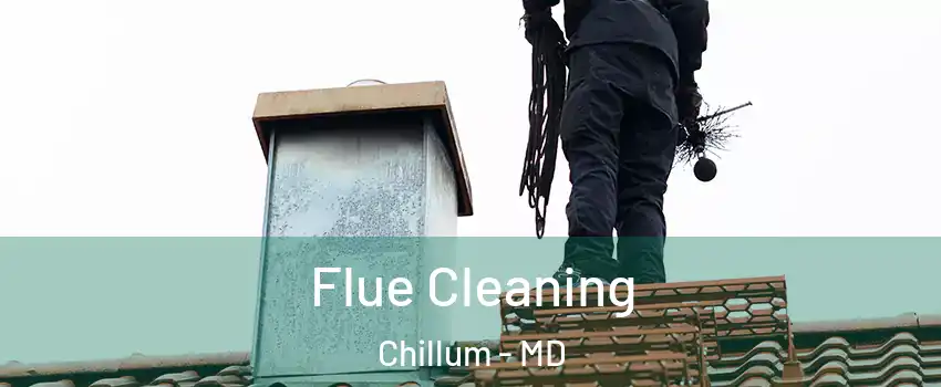  Flue Cleaning Chillum - MD