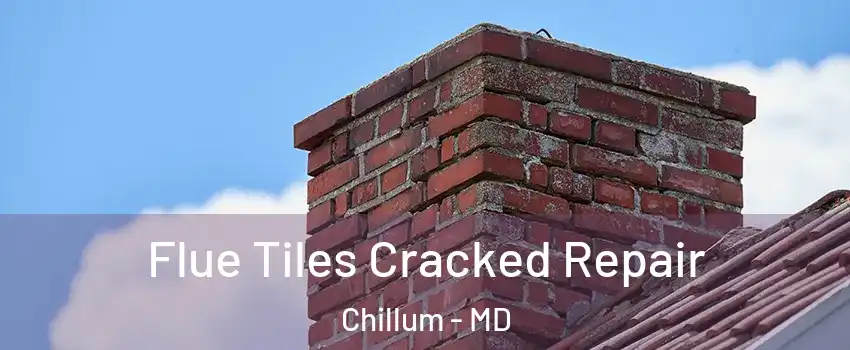  Flue Tiles Cracked Repair Chillum - MD