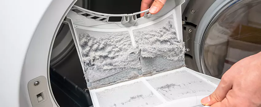 Best Dryer Lint Removal Company in Chillum, Maryland