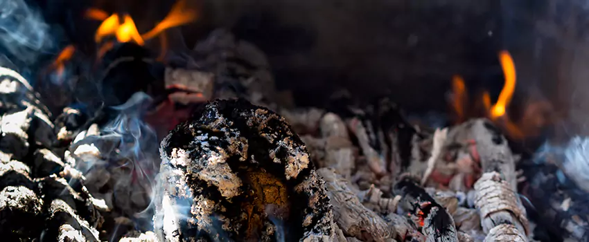 Creosote Removal Experts in Chillum, MD