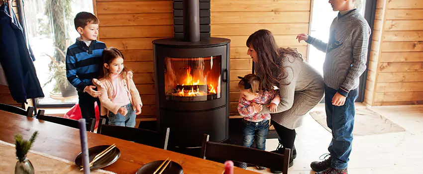 Jøtul Gas Fireplace Inspection Service in Chillum, Maryland