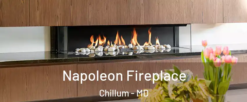  Napoleon Fireplace Chillum - MD