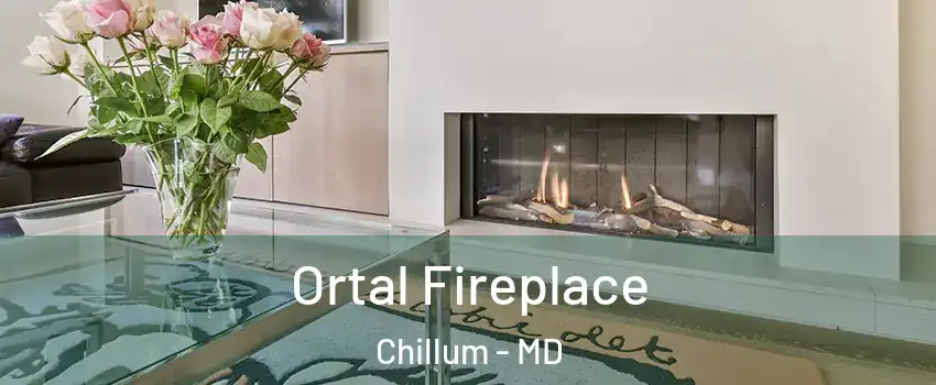 Ortal Fireplace Chillum - MD