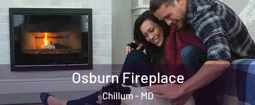  Osburn Fireplace Chillum - MD