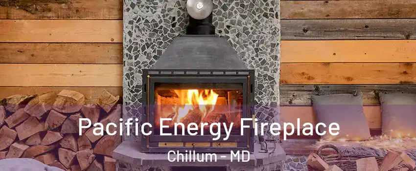  Pacific Energy Fireplace Chillum - MD