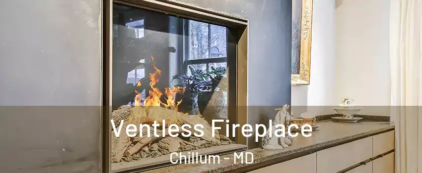  Ventless Fireplace Chillum - MD